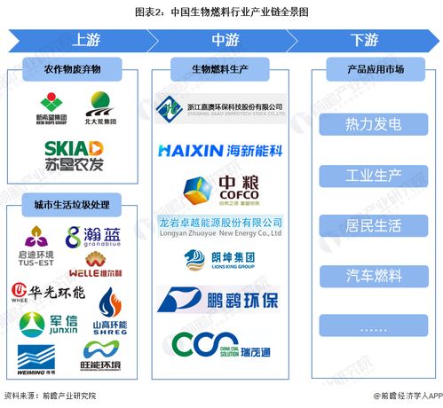 生物燃料行業產業鏈全景梳理及?？谲浖_發機遇